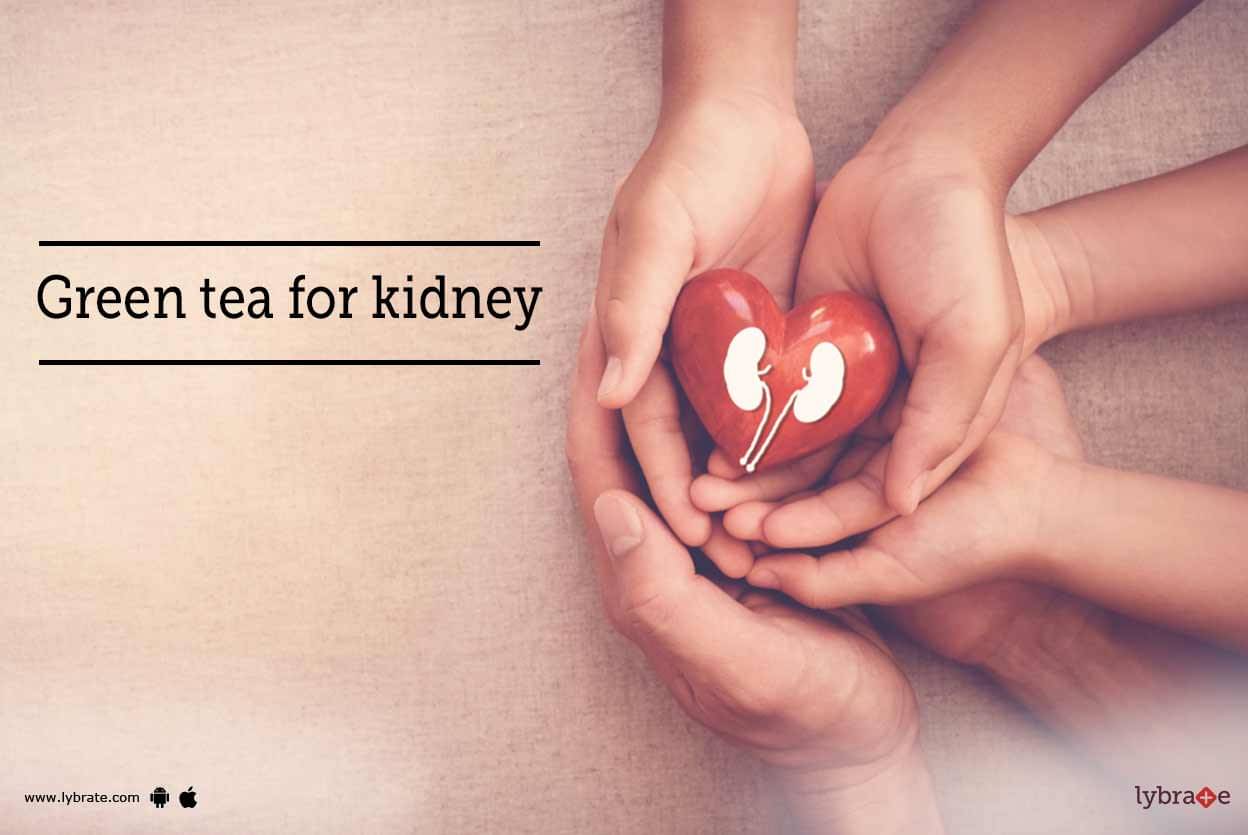 Green Tea For Kidney Stones Is Green Tea Good For Kidneys