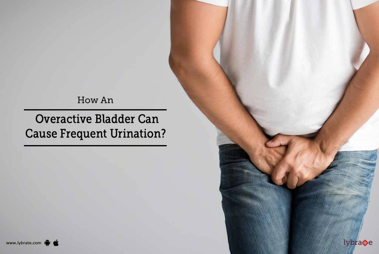 How An Overactive Bladder Can Cause Frequent Urination By Dr Neeraj Gupta Lybrate 6399