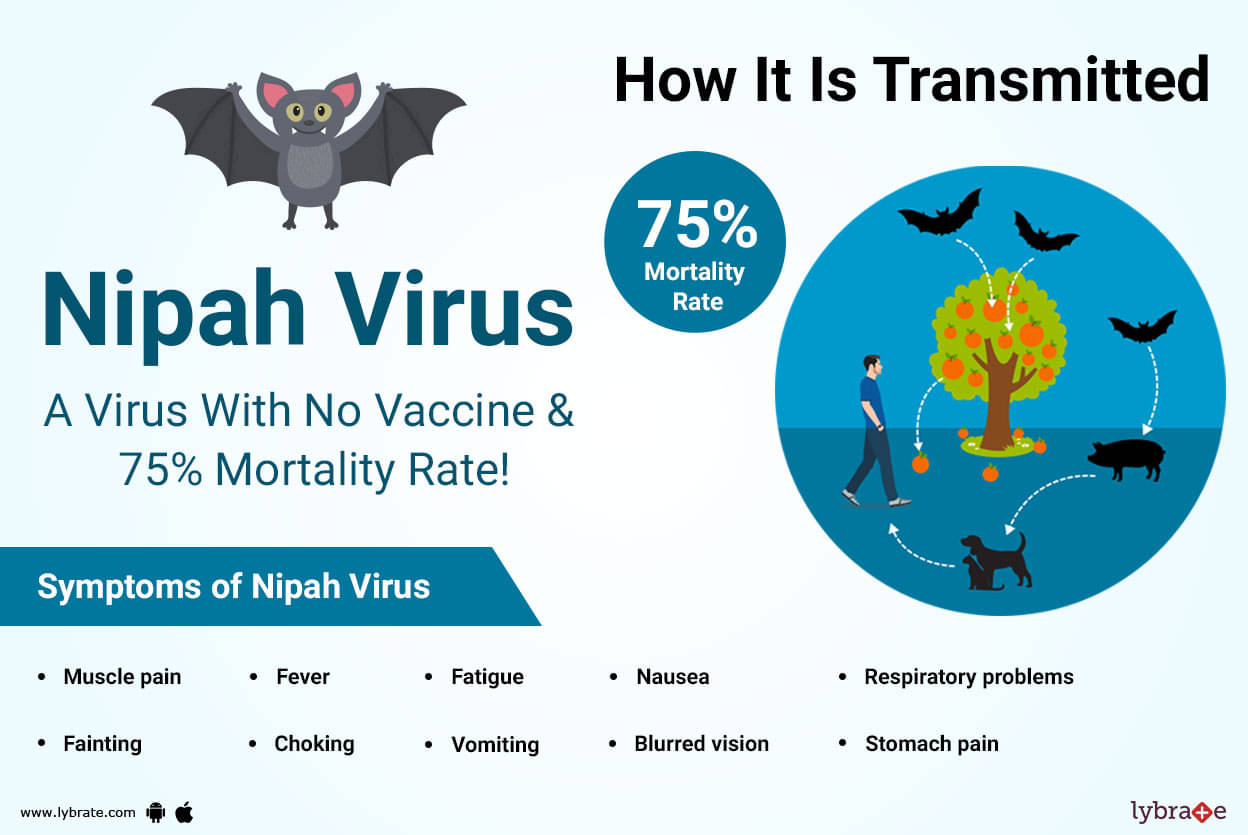 Nipah - A Virus With No Vaccine & 75% Mortality Rate! - By ...