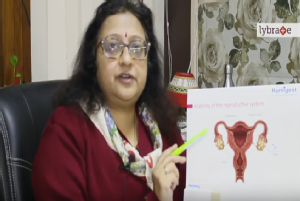 Hello, friends, I am Dr Rakhi Gupta, I am senior consultant gynaecology and obstetrician I am her...