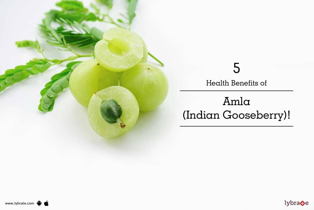 5 Health Benefits Of Amla (indian Gooseberry)! - By Dr. Vijay Kumar 