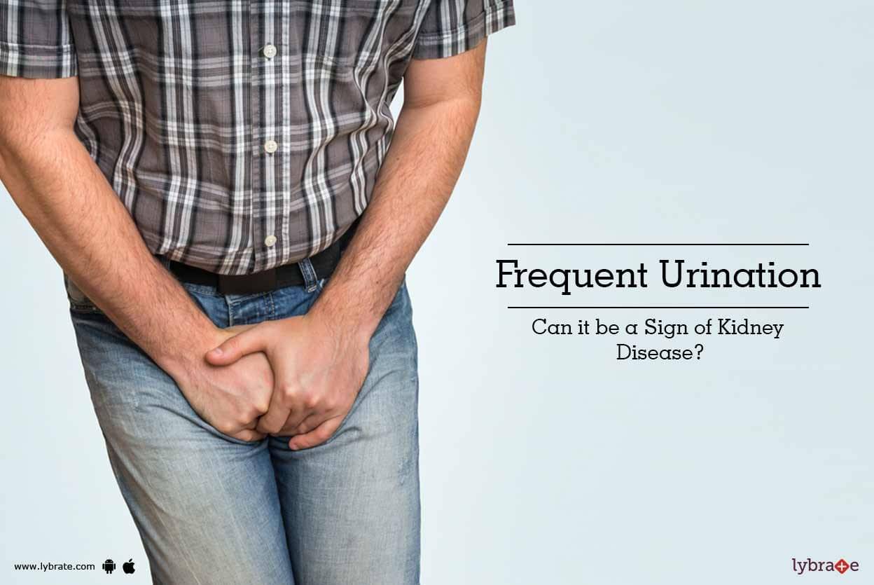 frequent-urination-can-it-be-a-sign-of-kidney-disease-by-dr