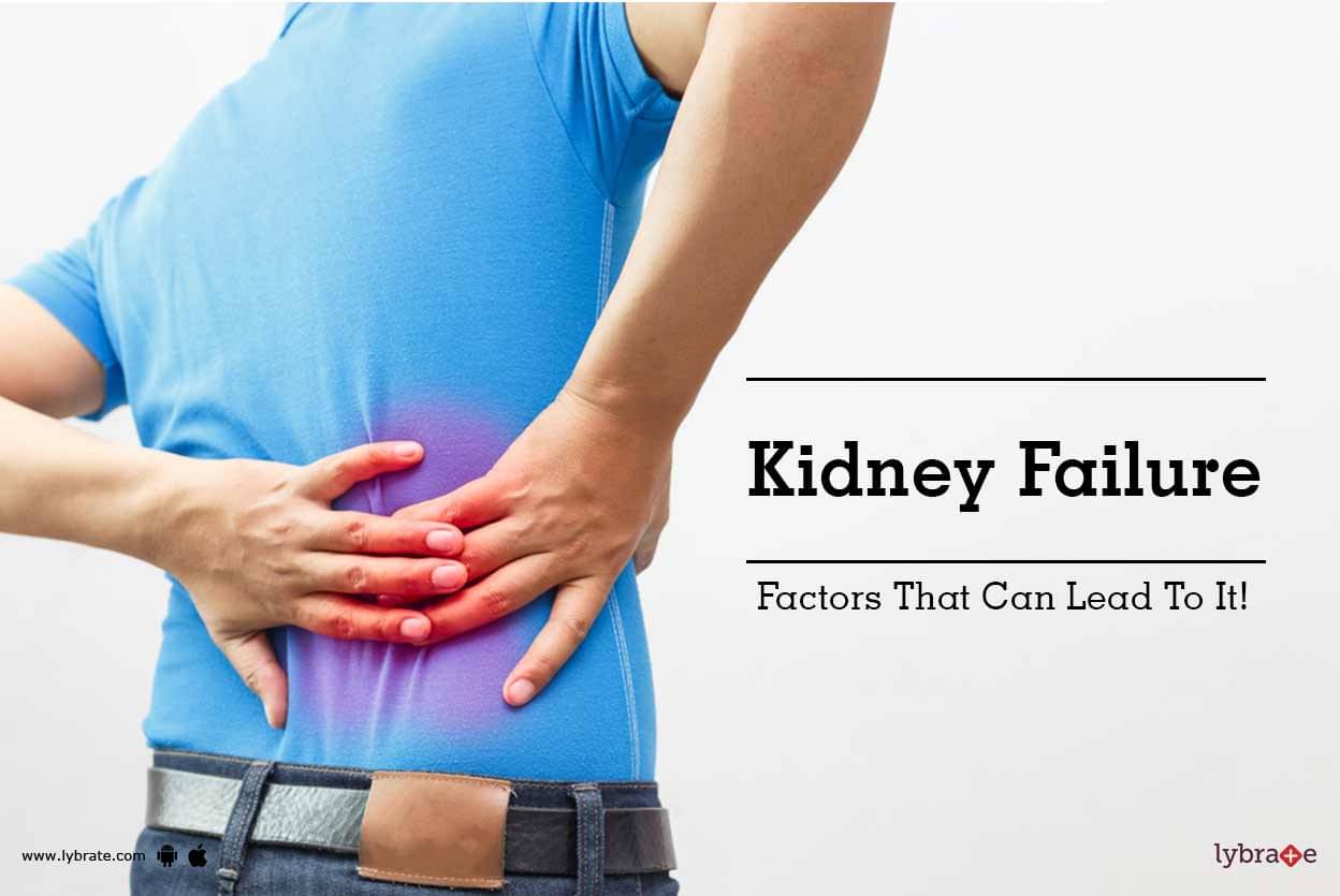 Kidney Failure Factors That Can Lead To It By Dr Akanksha Lybrate