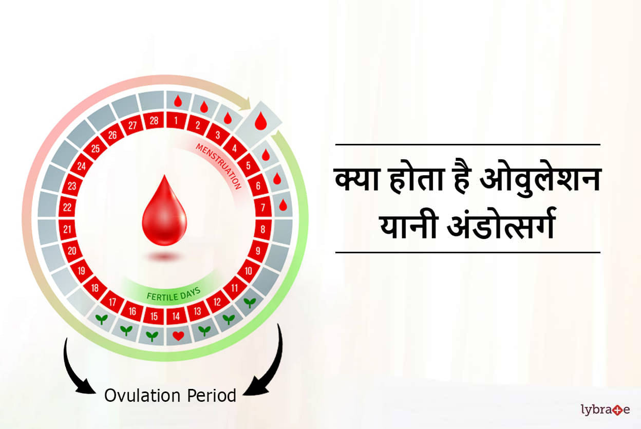 How To Know Ovulation Day In Hindi