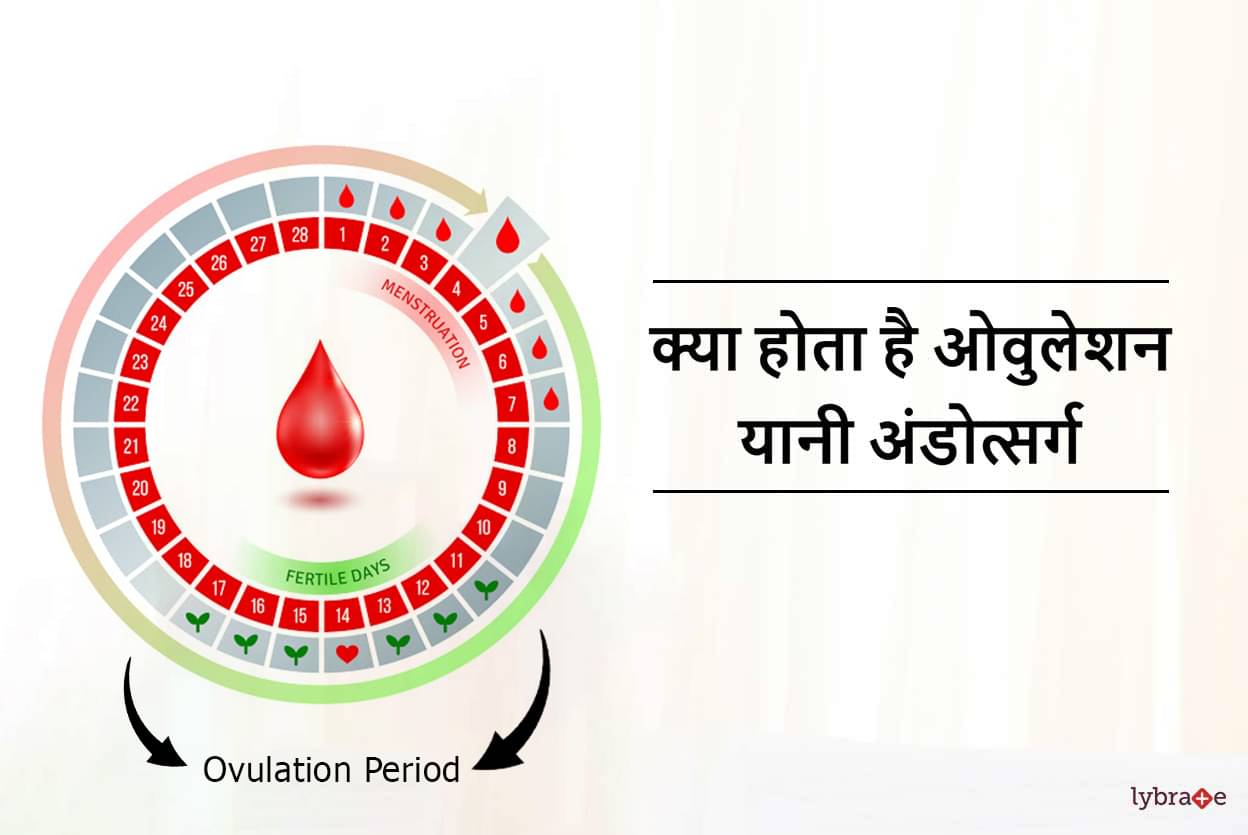 How To Know Ovulation Day In Hindi