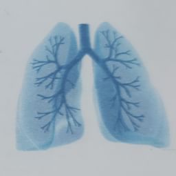 clinic-icon
