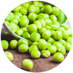 Pea Protein
