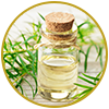 Tea Tree Oil