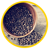 	Pepper Extract