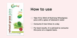 Onelife BCAA – Green Apple (250 Gram) - 0