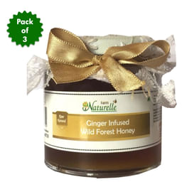 Ginger Infused Wild Forest Honey - Pack of 3