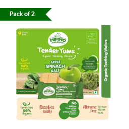 Tender Yums - Apple Spinach and Kale(84gms) - Pack of 2