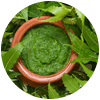 Neem