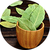 Bay leaf