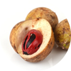 Myristica Fragrans Fruit (Jatiphala)