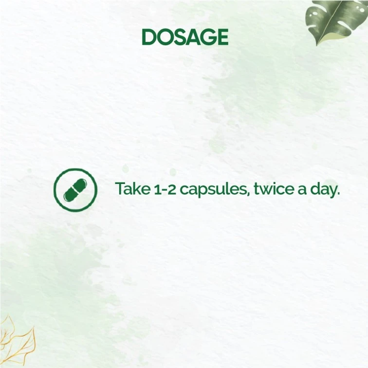 Onelife BCAA – Green Apple (250 Gram) - 0