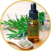 Rosemary Leaf Extract