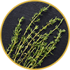 Thyme leaf