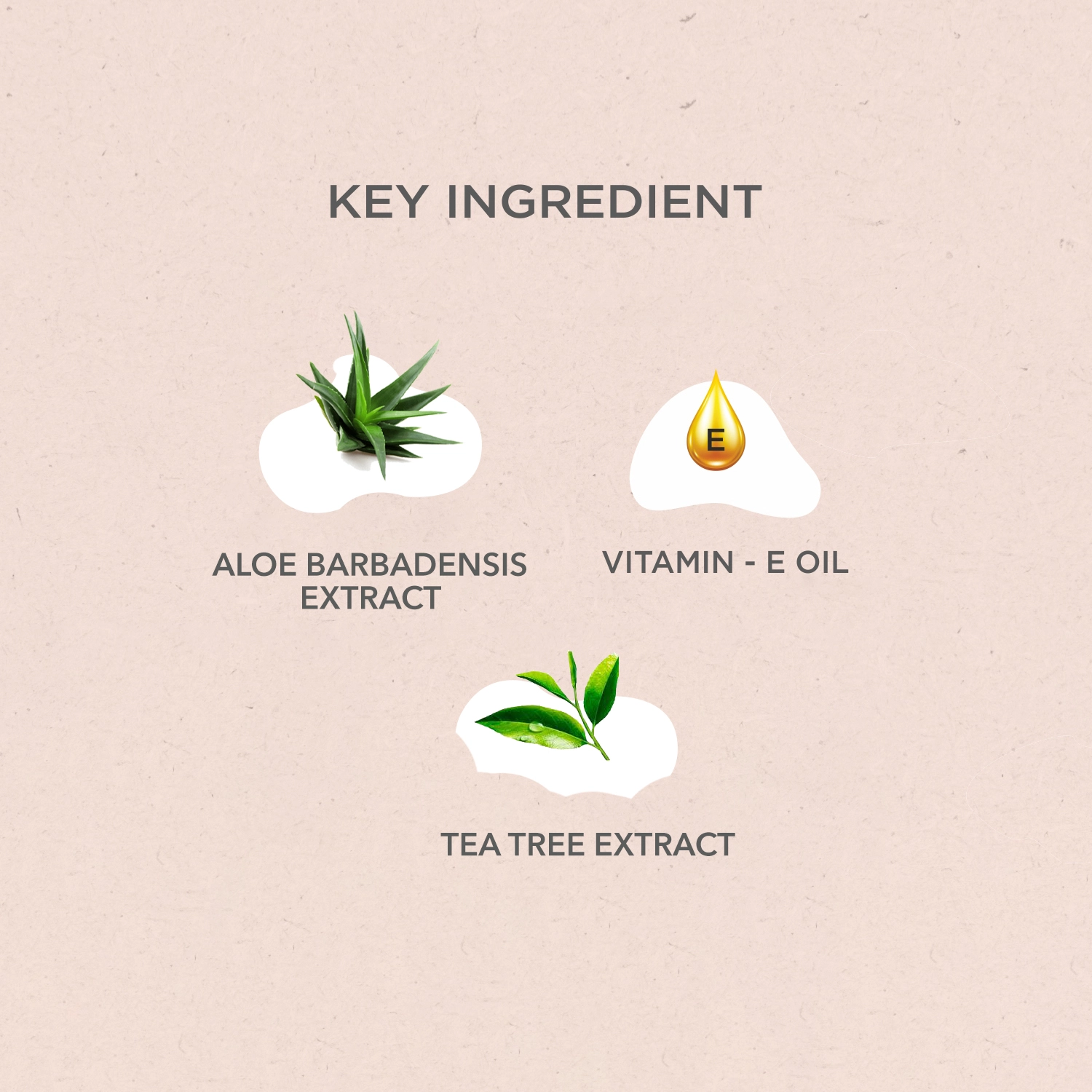 Onelife BCAA – Green Apple (250 Gram) - 0