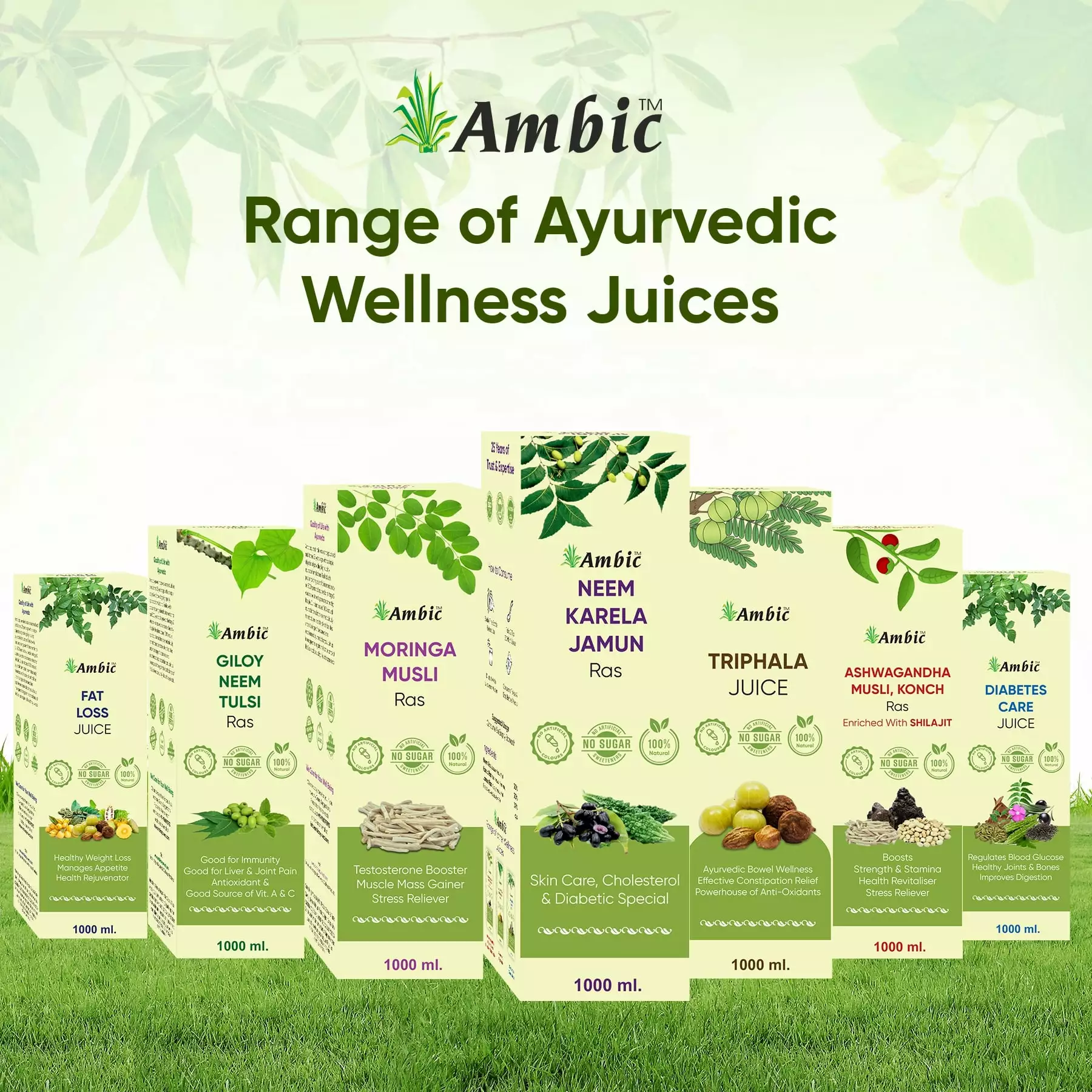 Onelife BCAA – Green Apple (250 Gram) - 0