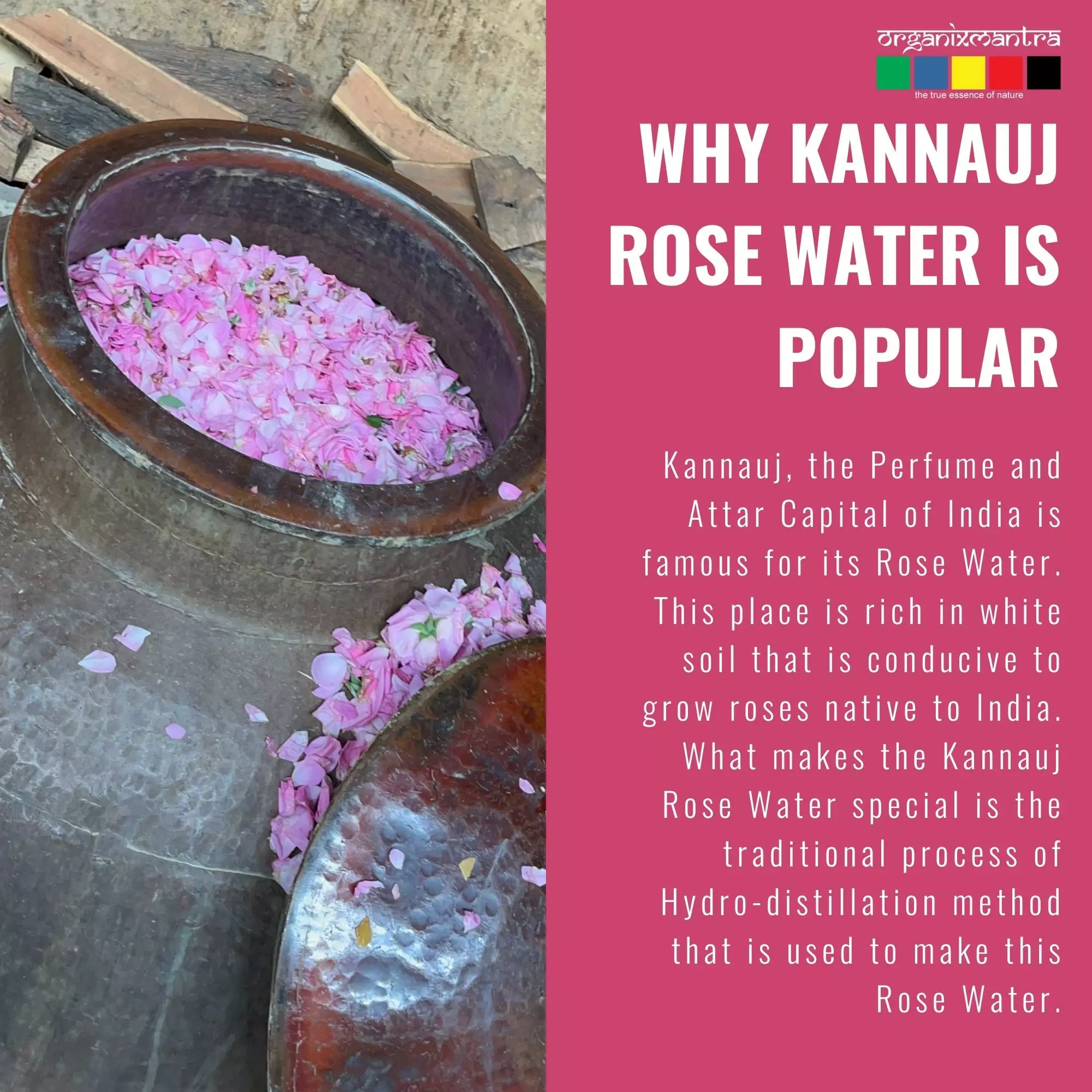 Onelife BCAA – Green Apple (250 Gram) - 0