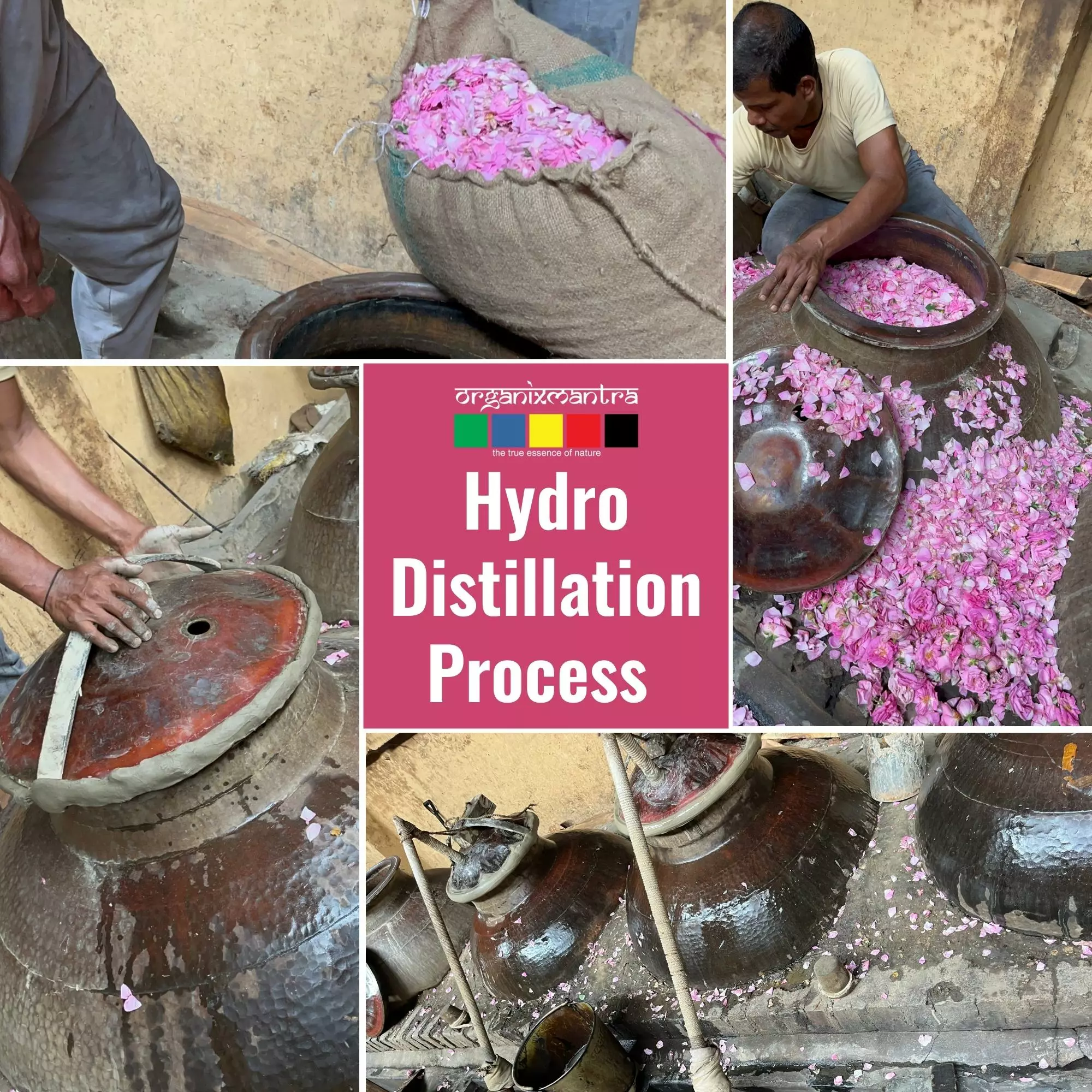 Onelife BCAA – Green Apple (250 Gram) - 0