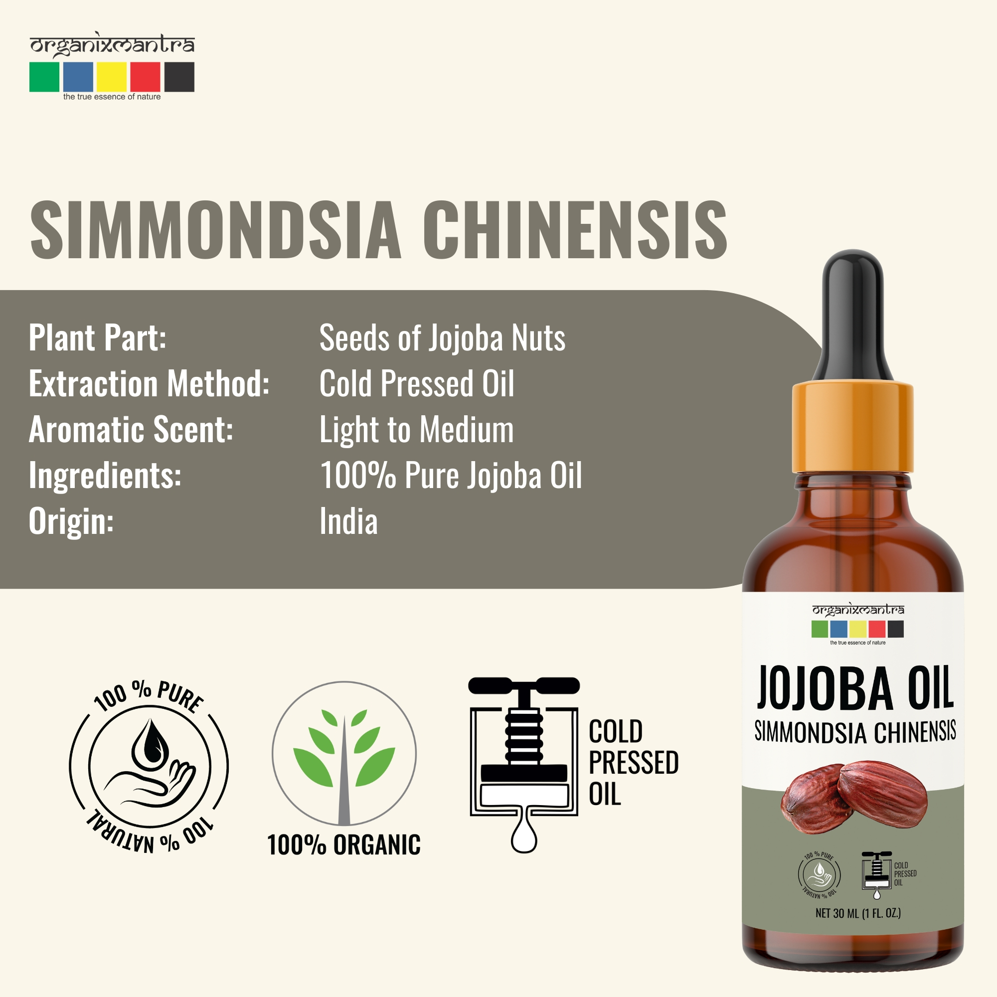 Onelife BCAA – Green Apple (250 Gram) - 0