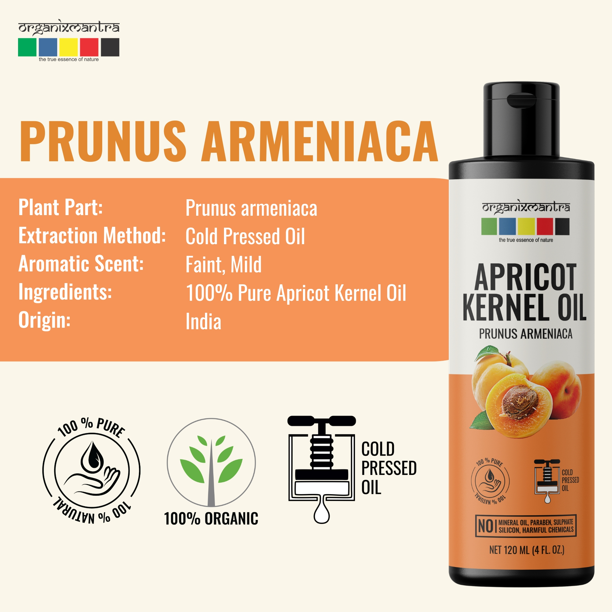 Onelife BCAA – Green Apple (250 Gram) - 0