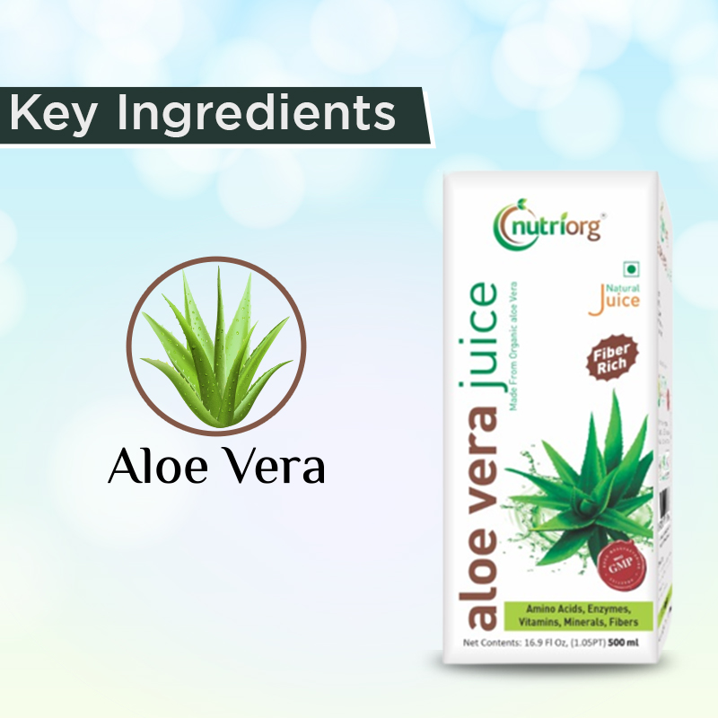 Onelife BCAA – Green Apple (250 Gram) - 0