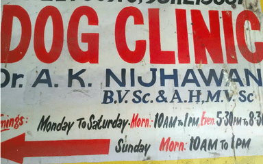 Dog And Cat Clinic