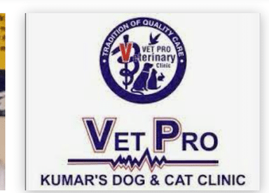 VET PRO Kumar's Dog and Cat Clinic