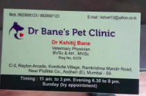 Dr Bane's Pet Clinic