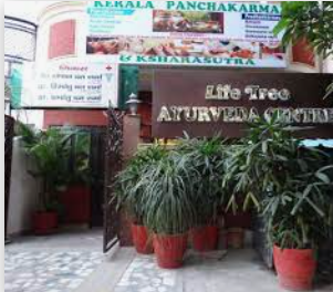 Life Tree Ayurveda Centre