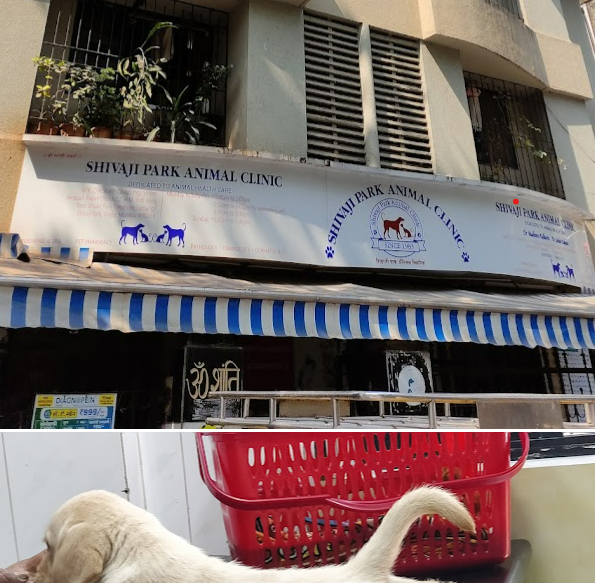 Shivaji Park Animal Clinic