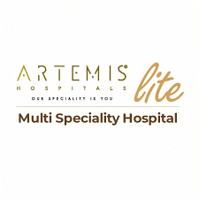 Artemis Lite