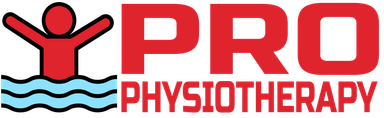 Pro physiotherapy clinic