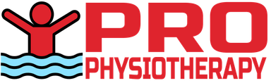 PRO PHYSIOTHERAPY CLINIC