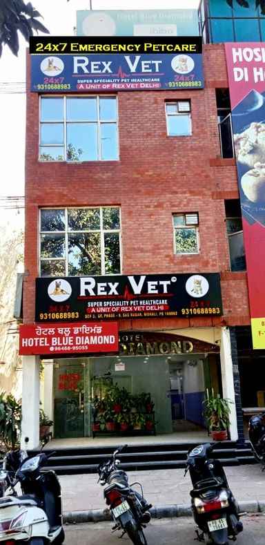 Rex Vet Superspeciality Pet Healthcare