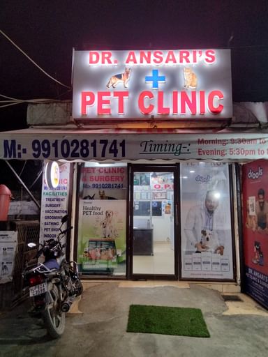 Dr Ansari