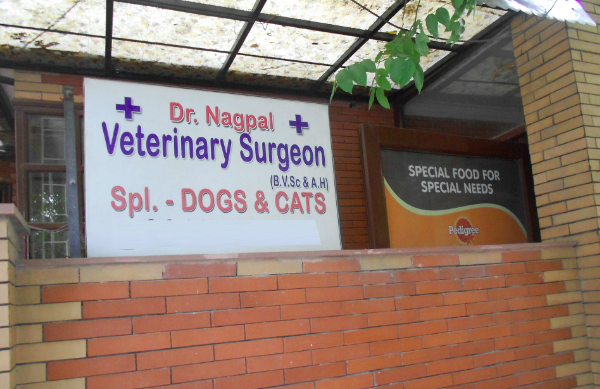 Nagpals Pet Clinic