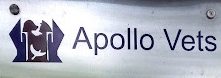Apollo Vets Healthcare