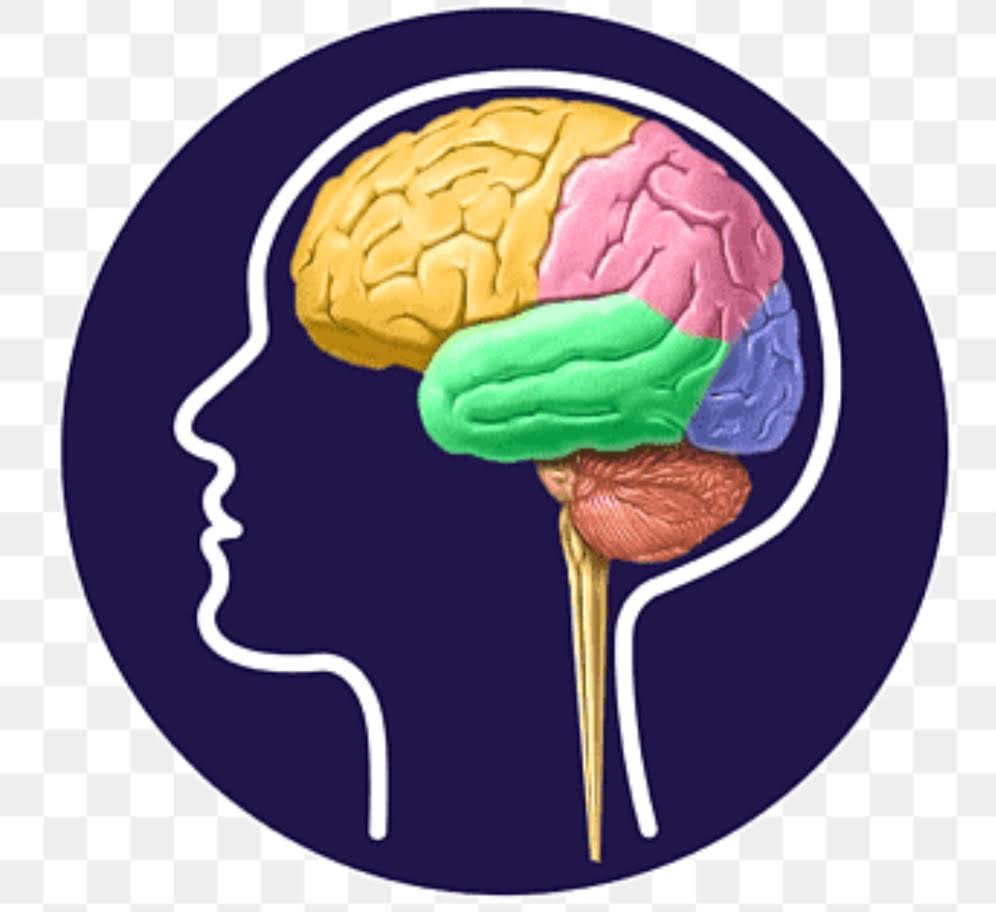 HAPPY BRAIN NEURO-PSYCHIATRY & PSYCHOTHERAPY CARE CENTER