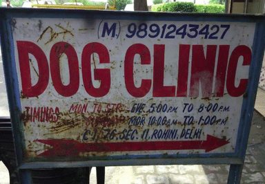 Kumars Pet Clinic
