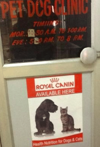 Pet Dog Clinic