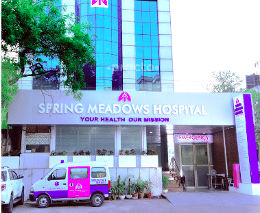 Spring Meadows Hospital