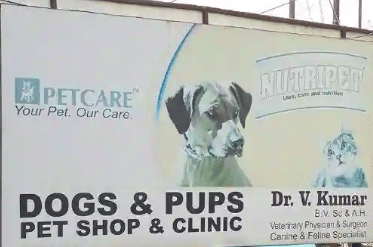 Dogs and Pups Pet Shop and Clinic
