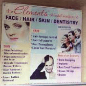 The Elements of Facial Aesthetics