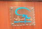 Surya Neuro Center