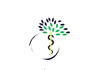 Dr Veena Deswal Clinic