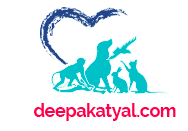 DR Deepa Katyals Canine 